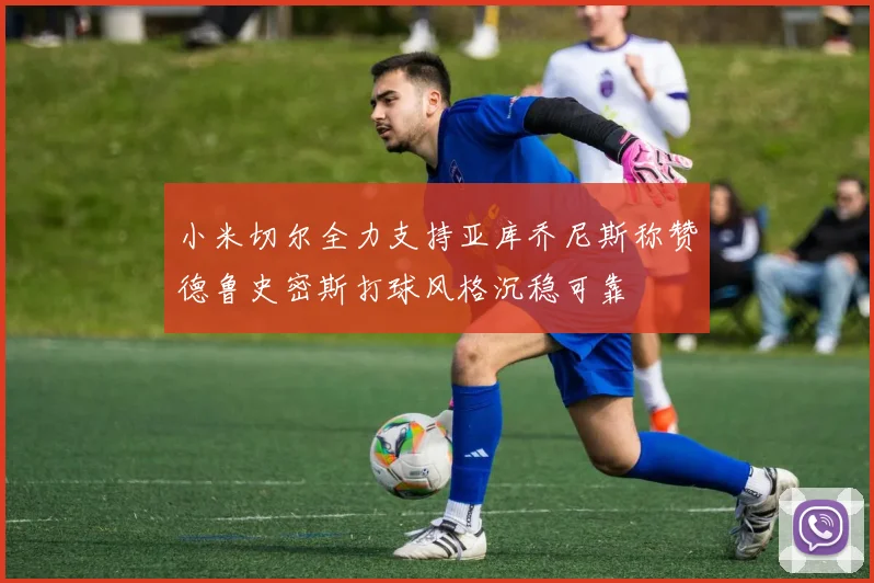 小米切尔全力支持亚库乔尼斯称赞德鲁史密斯打球风格沉稳可靠